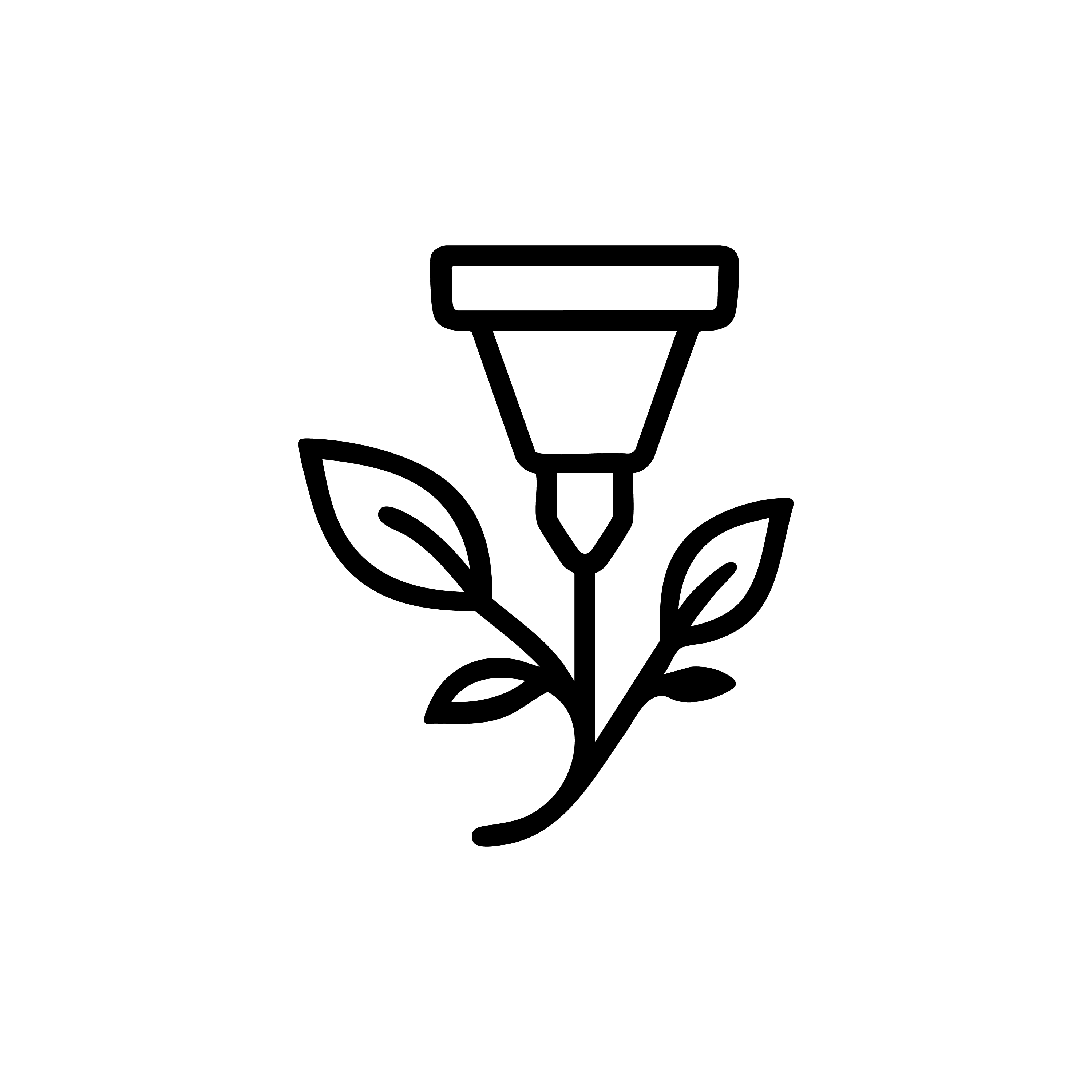 Vyora Studio